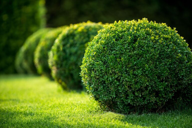 What Does Landscape Design Entail?